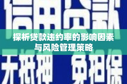 贵州探析贷款违约率的影响因素与风险管理策略