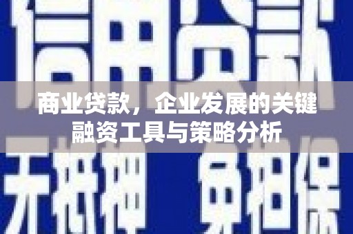 遂宁商业贷款，企业发展的关键融资工具与策略分析