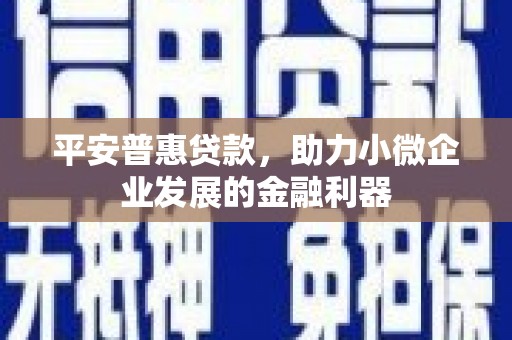 灌南平安普惠贷款，助力小微企业发展的金融利器
