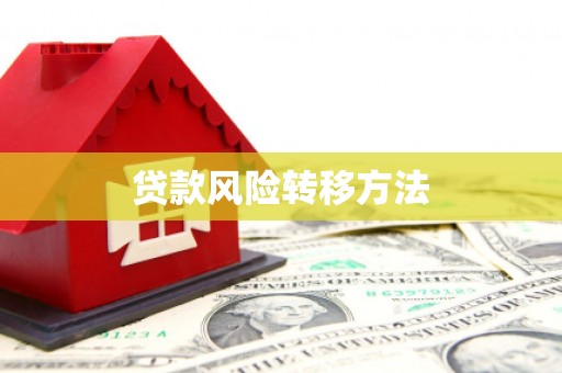 成华贷款风险转移方法