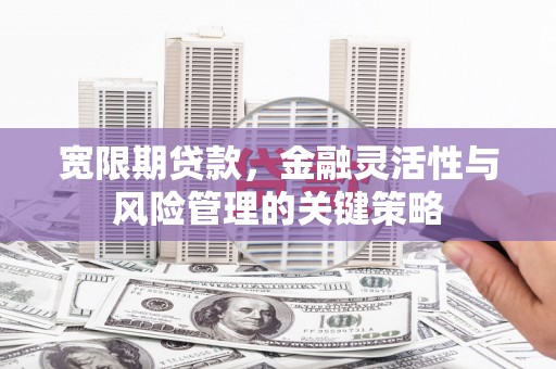 雄安新区宽限期贷款，金融灵活性与风险管理的关键策略