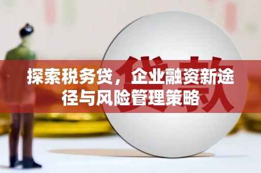 万秀探索税务贷，企业融资新途径与风险管理策略