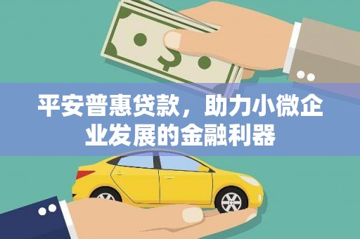 泰顺平安普惠贷款，助力小微企业发展的金融利器