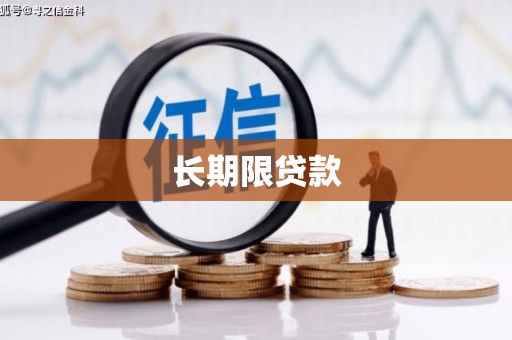 百色长期限贷款