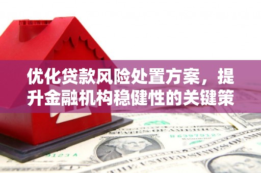 海勃湾优化贷款风险处置方案，提升金融机构稳健性的关键策略