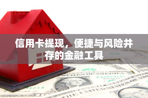 洛南信用卡提现，便捷与风险并存的金融工具