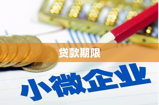 庆元贷款期限