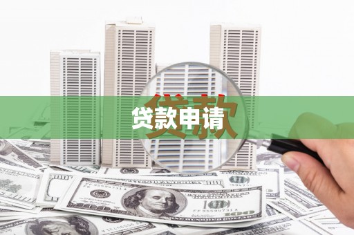囊谦贷款申请
