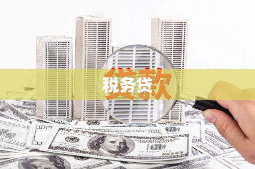 巴州税务贷