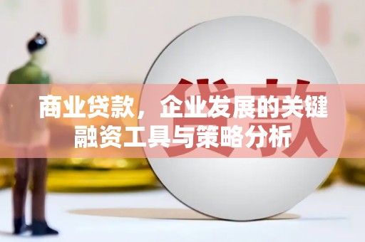 细河商业贷款，企业发展的关键融资工具与策略分析