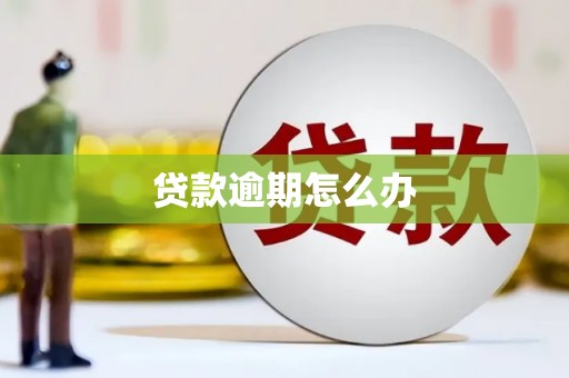 博乐贷款逾期怎么办