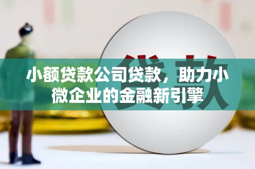 禅城小额贷款公司贷款，助力小微企业的金融新引擎