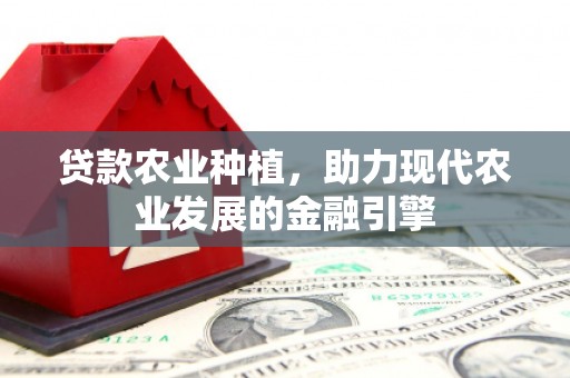 阜新贷款农业种植，助力现代农业发展的金融引擎