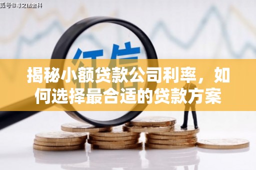 榆林揭秘小额贷款公司利率，如何选择最合适的贷款方案