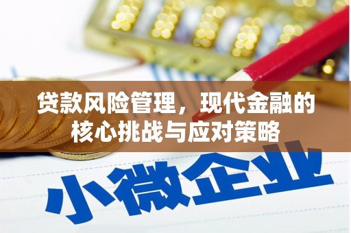 赤城贷款风险管理，现代金融的核心挑战与应对策略