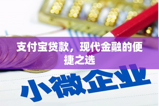 将军支付宝贷款，现代金融的便捷之选