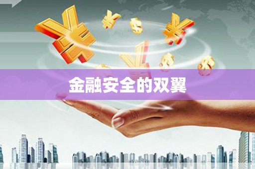 太和金融安全的双翼
