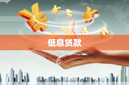 港闸低息贷款