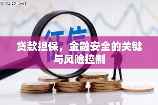 科尔沁左翼中旗贷款担保，金融安全的关键与风险控制