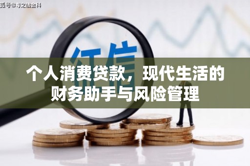 碌曲个人消费贷款，现代生活的财务助手与风险管理