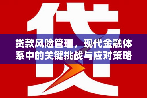 盐湖贷款风险管理，现代金融体系中的关键挑战与应对策略