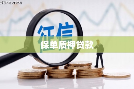 伊宁保单质押贷款