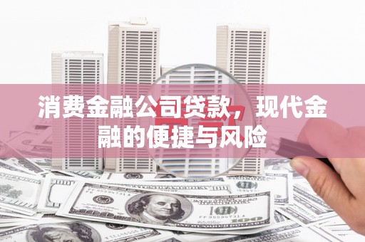 武进消费金融公司贷款，现代金融的便捷与风险