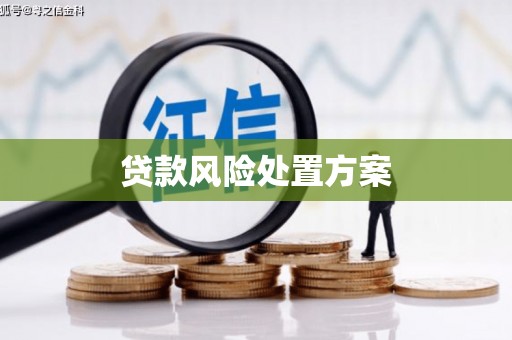 恩平贷款风险处置方案