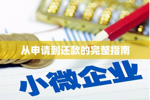 八宿从申请到还款的完整指南