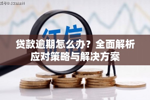 巩留贷款逾期怎么办？全面解析应对策略与解决方案