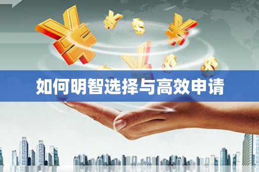 大东如何明智选择与高效申请