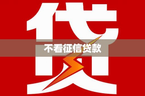 巩留不看征信贷款