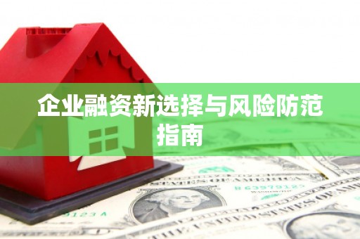 云林企业融资新选择与风险防范指南