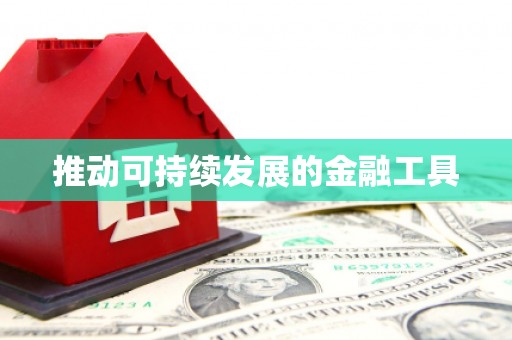 芦淞推动可持续发展的金融工具