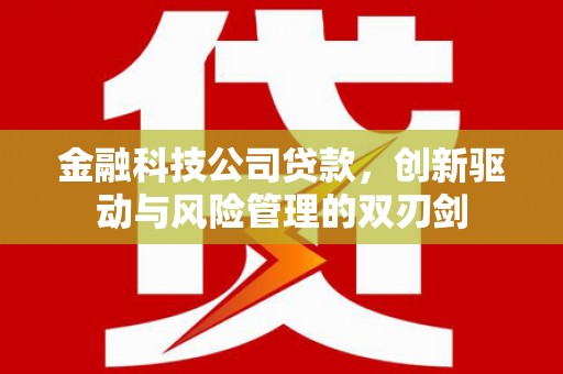 黄南金融科技公司贷款，创新驱动与风险管理的双刃剑